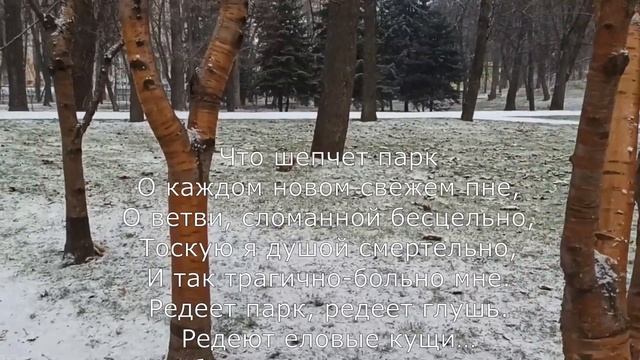 Игорь Северянин (жизнь и творчество)