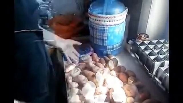 Как выбрать картофель на посадку? Урожайный картофель!