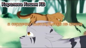 Клип Коты-воители А сердечко бьется бьется не спеша я Ч.О.