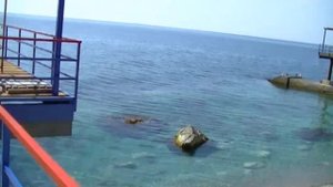 Пляж санатория  Белоруссия крым Мисхор Киреиз
