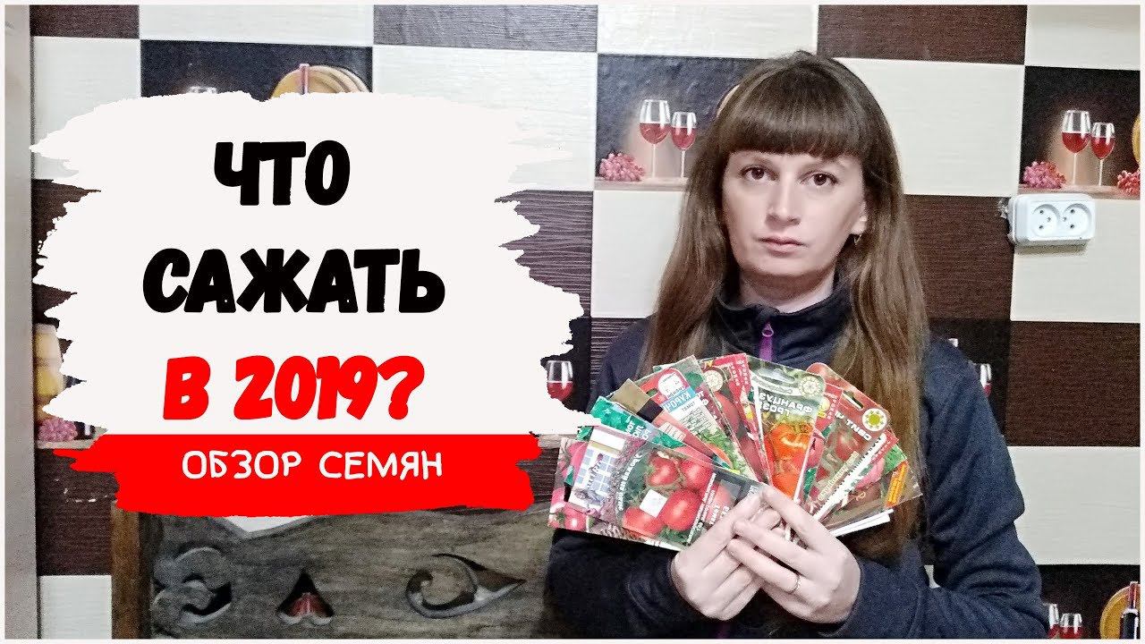 Обзор семян. Что сажать? Планы на 2019 г. Часть 1. Природосообразное земледелие. Жизнь в деревне.