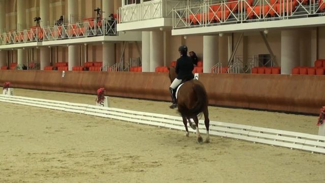 Гунякова Ирина/Rammstein (04.04.14) смотреть онлайн