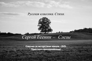 Русская классика. Стихи. — Сергей Есенин — Слезы ?