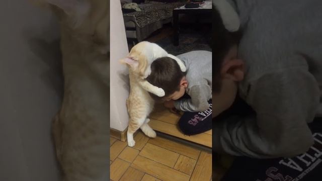 Если ребёнок не хочет мыть голову можно попросить вашего питомца ему помочь смотреть онлайн