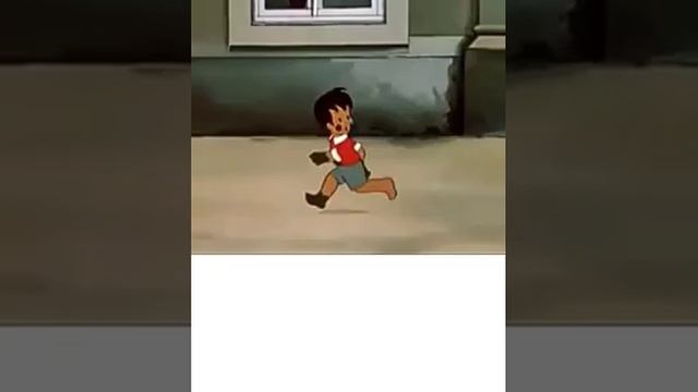 МОЙДОДЫР