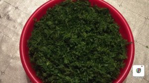 Морковная ботва .Какая же она оказывается полезная