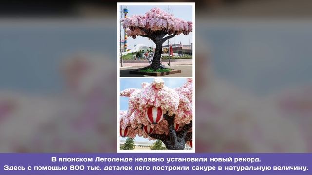 Фото доказывающие, что Япония – уникальная страна! смотреть онлайн