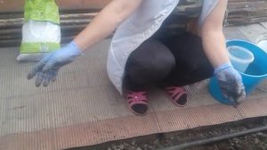 Хосты , деление и пересадка !