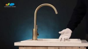 Обзор смесителя Paulmark Holstein 212063 BR