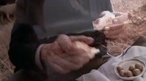 Enigma - Return To Innocence (Official Video).mp4