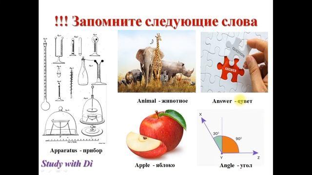 Базовый курс английского языка для начинающих. Урок 3 Do you have...? смотреть онлайн