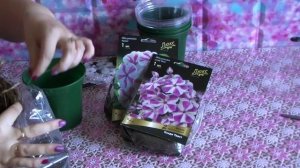 Весенняя посадка флокс из магазина