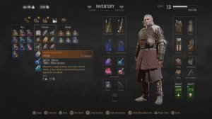 The Witcher 3: Wild Hunt - Complete Edition Level 10 Geralt vs Level 27 Earth Elemental first try