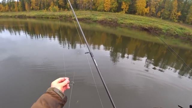 Вот это царство ЩУК! Осенний жор! Рыбалка по жидкой воде закрыта! смотреть онлайн