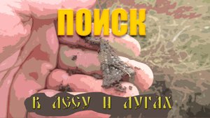 Новая экспедиция по поиску старины