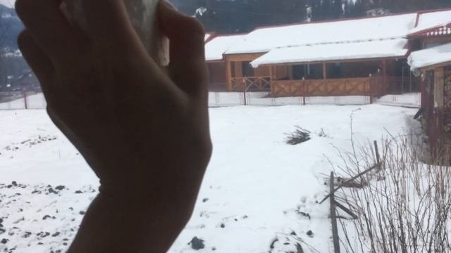 САМЫЕ БЕСЯЧИЕ ЗВУКИ В МИРЕ (ЧАСТЬ 2)