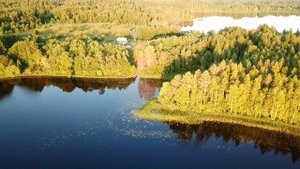 Кенозерский национальный парк с высоты птичьего полета