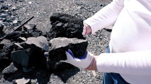 Запуск Мустанг мини на бои асфальта.