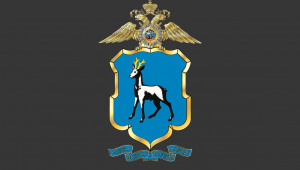 Полицией Самарской области инициировано прекращение гражданства четырех уроженцев ближнего зарубежья