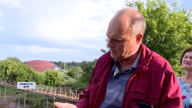 МАССОВАЯ ВЫРУБКА ДЕРЕВЬЕВ В ОРЕНБУРГЕ