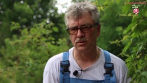 Коптильня для рыбы своими руками #urozhainye_gryadki