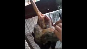 дичь, облупить, снять шкуру с гуся