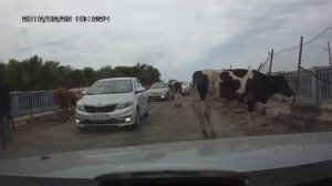 "Таможенный" пост. Камызякский район, с.Застенка