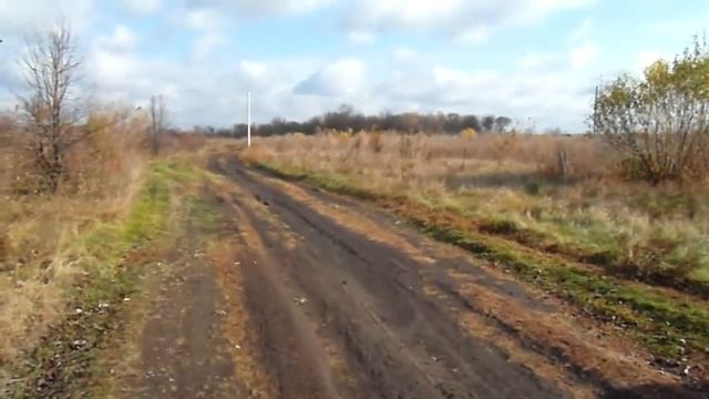 Продажа недвижимости в Воронеже. Продам участок у реки в Семилукском р-не. смотреть онлайн