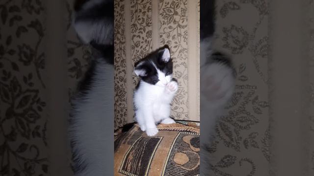 8 декабря 2022 г. смотреть онлайн