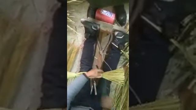 Веник сорго производство смотреть онлайн