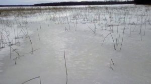 Рыбалка на Вишневском озере