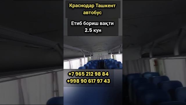 Краснодар Ташкент автобус. автобус Краснодар Ташкент. Автобус Тошкент Краснодар. Тошкент Краснодар