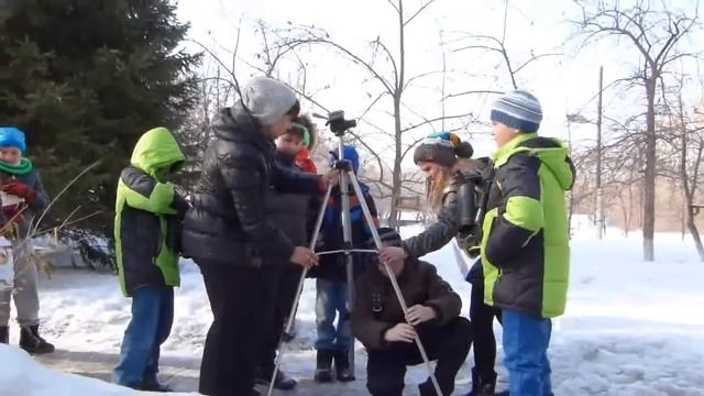 Орнитофауна зимнего периода и особенности жизни птиц зимой