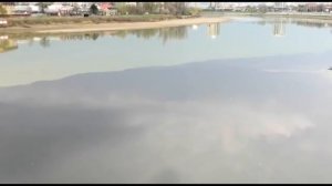 Экологическая катастрофа реки Кубань 2021 Отравленная река Кубань в Краснодарском крае | Катаклизмы