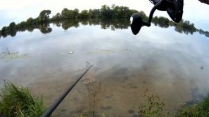 Лещ на фидер в сентябре, нижняя Москва река.