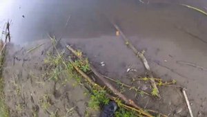 Прикольная утренняя рыбалка. Голавль на лягушку. Рыбалка на спиннинг)))))