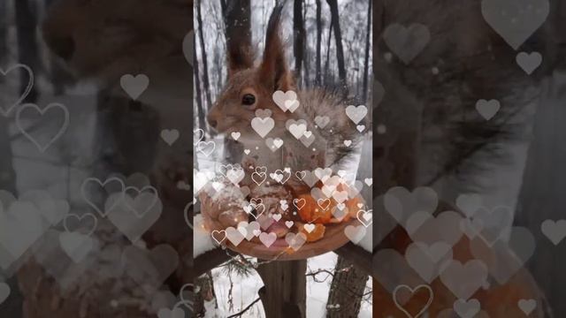 Радостного Счастливого Денька смотреть онлайн