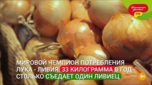 Интересные факты про лук