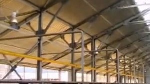 Содержание и кормление КРС