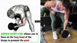 Different Exercises Bicep to Get Wider Biceps