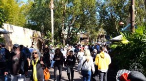 Disney's Animal Kingdom 2023 Complete Walking Tour in 4K | Walt Disney World Florida January 2023