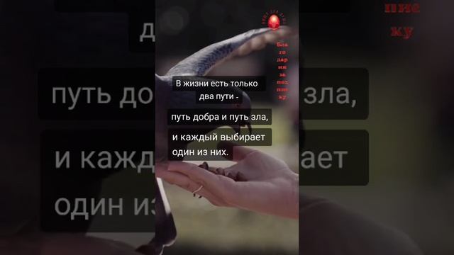 Какие пути есть в жизни?