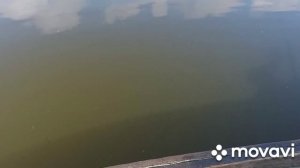 Рыбалка на поплавок с лодки на Азове