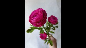 Ранункулюс из холодного фарфора. МК. 1 часть.