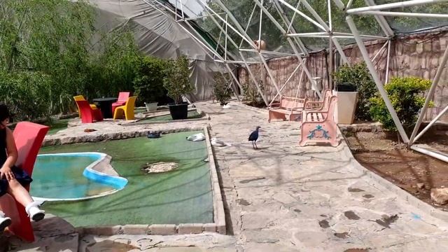 walking tour iran | qazvin | qazvin city iran | zoo | iran