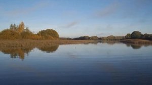 Зыбино. Река Трешня часть 1