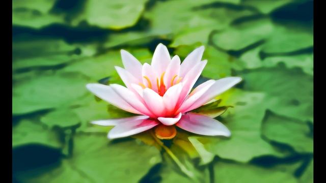 Музыка для медитации / Sounds for meditation смотреть онлайн