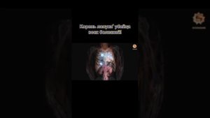? Корень Лопуха, излечит от всего ?