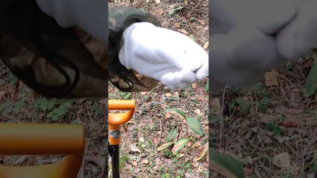 Непонятная находка в лесу #shorts #другаяжизнь #непонятнаянаходка  #metaldetecting #монеты