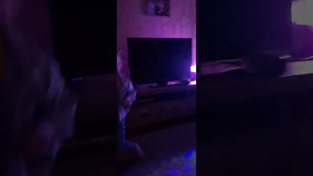 ягода малинка ,танцует Полинка) смотреть онлайн